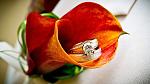     
: look.com.ua-31685.jpg
: 11
:	78.7 
ID:	7805988