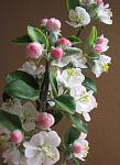     
:  2014 062.jpg
: 5
:	93.7 
ID:	7806281