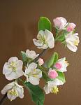     
:  2014 042.jpg
: 6
:	67.3 
ID:	7806282