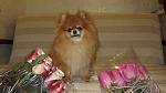     
: IMG_1848.jpg
: 12
:	95.1 
ID:	7806789