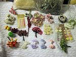     
: IMG_6998_1.jpg
: 12
:	216.9 
ID:	7807097