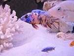     
: IMG_5395.jpg
: 27
:	93.2 
ID:	7807860