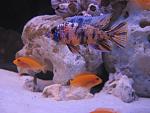     
: IMG_5396.jpg
: 27
:	100.3 
ID:	7807861