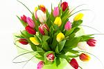     
: 307_02_1000x666.jpg
: 22
:	65.0 
ID:	7809004