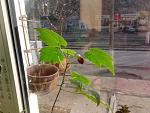     
: 2014-03-08 08.49.22.jpg
: 3
:	159.0 
ID:	7809750