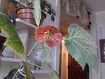     
: 2014-03-09 14.49.37.jpg
: 6
:	105.5 
ID:	7809754