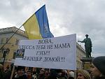     
: P3090072.jpg
: 21
:	100.6 
ID:	7810087