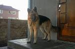     
: i8fCNr7x3jk.jpg
: 28
:	159.0 
ID:	7810642