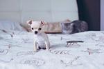     
: фото 2.JPG
: 9
:	119.7 
ID:	7811826