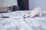     
: фото 3.jpg
: 10
:	58.9 
ID:	7811827