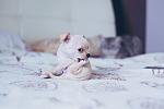     
: фото 2 (1).JPG
: 9
:	103.1 
ID:	7811830