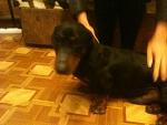     
: vQWy-040x8g.jpg
: 1
:	29.3 
ID:	7811937