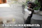     
: getImage.jpg
: 9
:	45.3 
ID:	7816554