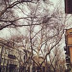     
: image.jpg
: 6
:	304.5 
ID:	7817033
