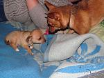    
: IMG_0737.jpg
: 12
:	198.2 
ID:	7817320