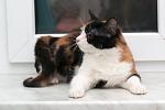     
: DSC_3126.jpg
: 7
:	44.0 
ID:	7819035