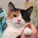     
: DSC_3122.jpg
: 10
:	45.5 
ID:	7819036