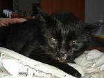     
: 20140309_130524.jpg
: 24
:	120.6 
ID:	7822485
