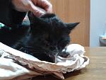     
: 20140309_130720.jpg
: 18
:	96.7 
ID:	7822489