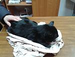     
: 20140309_130734.jpg
: 14
:	115.5 
ID:	7822490