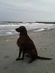     
: 20140308_155946.jpg
: 3
:	79.4 
ID:	7822824