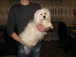     
: IMG_8629.jpg
: 17
:	113.9 
ID:	7823282