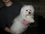     
: IMG_8627.jpg
: 11
:	99.4 
ID:	7823283