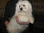     
: IMG_8628.jpg
: 9
:	107.4 
ID:	7823284