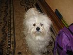     
: IMG_8605.jpg
: 9
:	131.8 
ID:	7823285