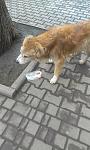     
: moFKIPDNHLQ.jpg
: 19
:	102.2 
ID:	7824219