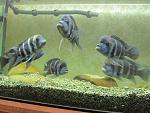     
: IMG_4605.jpg
: 12
:	147.5 
ID:	7824556