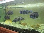     
: IMG_4597.jpg
: 10
:	154.3 
ID:	7824574