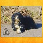     
: _pqXL66iqzU.jpg
: 11
:	48.8 
ID:	7832151