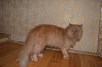     
: DSC_0079.jpg
: 12
:	121.1 
ID:	7833124