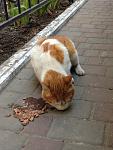     
: IMG_4592.jpg
: 6
:	116.3 
ID:	7833182