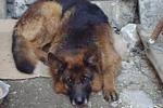     
: DSC07920_240.jpg
: 7
:	8.1 
ID:	7836984