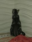     
: 20140314_225946.jpg
: 14
:	52.2 
ID:	7840169