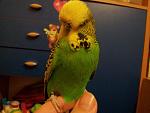     
: 20140304_015145.jpg
: 7
:	110.0 
ID:	7840562