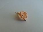     
: 20140315_100647.jpg
: 4
:	216.8 
ID:	7841057