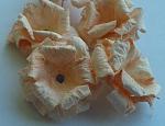     
: 20140315_100557.jpg
: 8
:	238.7 
ID:	7841059