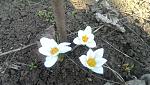     
: IMAG0069.jpg
: 10
:	171.7 
ID:	7843524