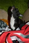     
: IMG_2160.JPG
: 41
:	30.3 
ID:	785262