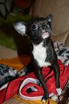     
: IMG_2163.JPG
: 46
:	31.4 
ID:	785264