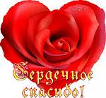     
: images.jpg
: 11
:	14.4 
ID:	7852672