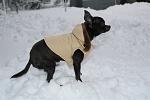     
: IMG_2276.JPG
: 47
:	33.9 
ID:	785270