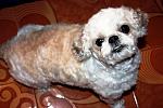     
: attachment.jpg
: 14
:	67.0 
ID:	7854343