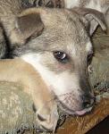     
: IMG_8571.jpg
: 12
:	119.9 
ID:	7855413