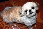     
: IMG_0547.jpg
: 19
:	97.7 
ID:	7855907