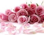     
: images.jpg
: 8
:	8.4 
ID:	7856391