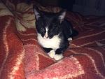     
: IMG_0211.jpg
: 11
:	142.9 
ID:	7857802